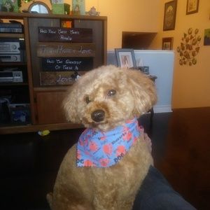 Meet your Posher, Laura